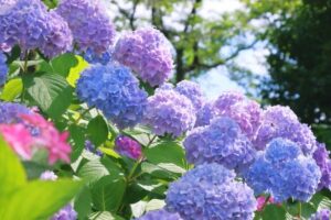 清々しく過ごしましょ♪