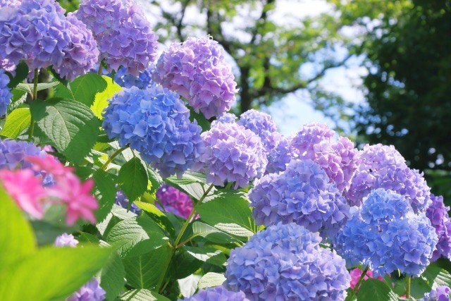 清々しく過ごしましょ♪
