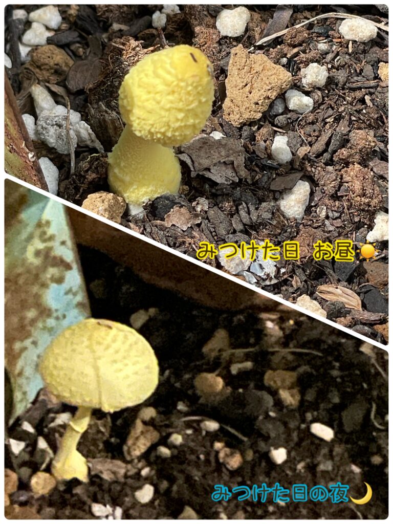 おかげさまで15周年♡