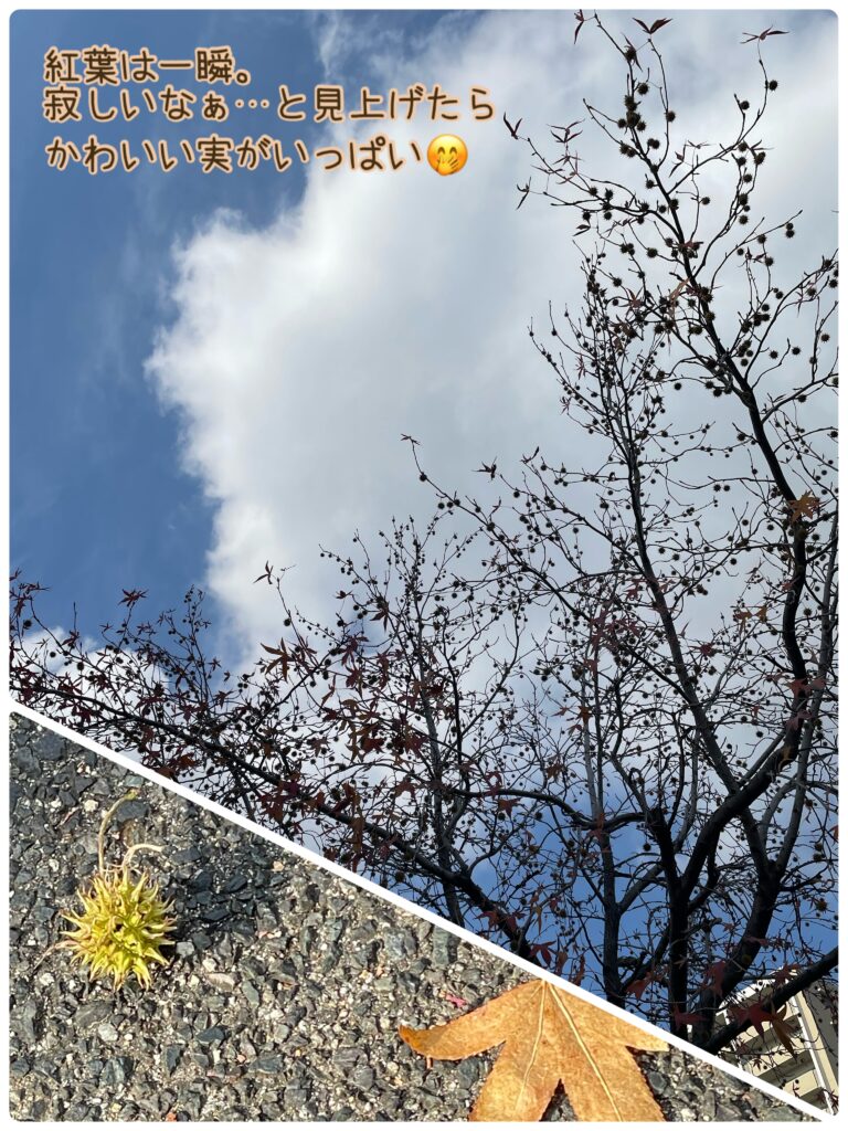 深〜い呼吸してますか？