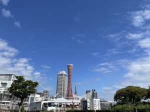 目の疲れをやさしく整える習慣｜リラックスと巡りのケア