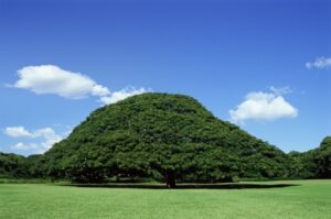 子育てが落ち着けば、ゆっくり時間が流れると思っていました…